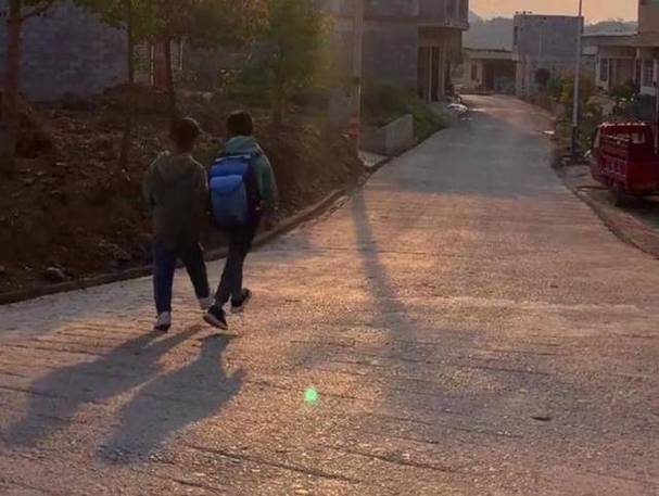 新澳天天彩2025芳草地和7岁男孩遭3只犬撕咬与7岁男孩遭3只犬撕咬怎么办