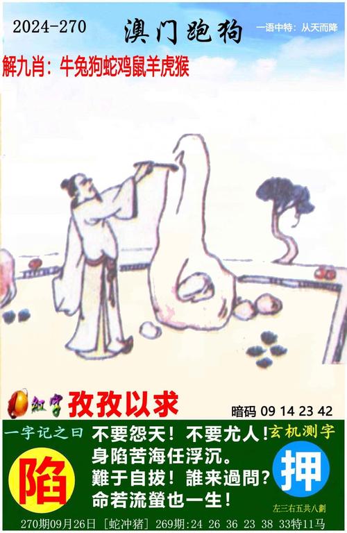 2025澳门天天开好彩大全开奖记录和半年嫁5人骗190万与